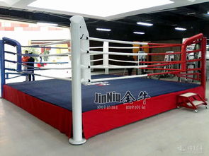 設(shè)計(jì)之美 從概念到現(xiàn)實(shí)的橋梁