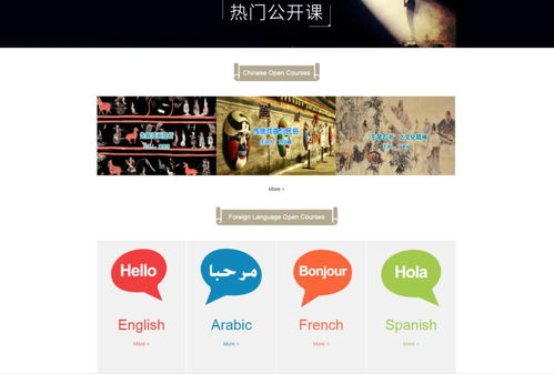 云端共品書香，數(shù)字文化新篇章——中國(guó)文化中心數(shù)字圖書館正式啟用